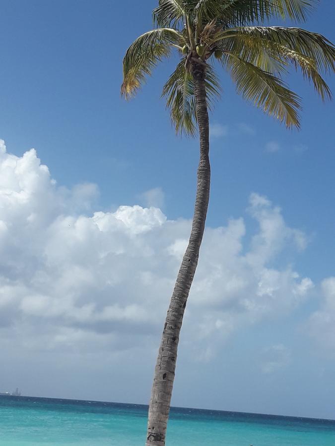 Aruba Harmony Apartments オラニエスタッド エクステリア 写真