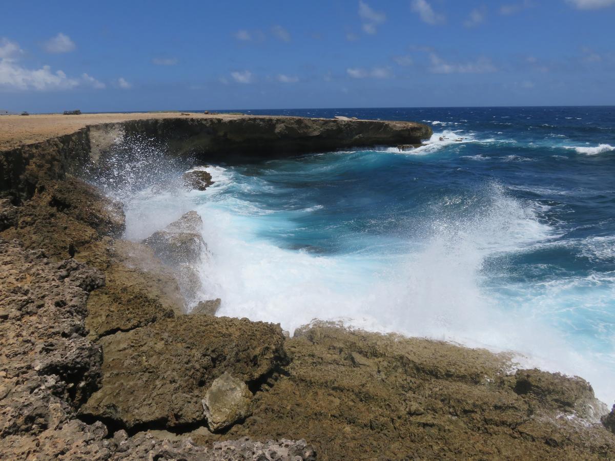 Aruba Harmony Apartments オラニエスタッド エクステリア 写真