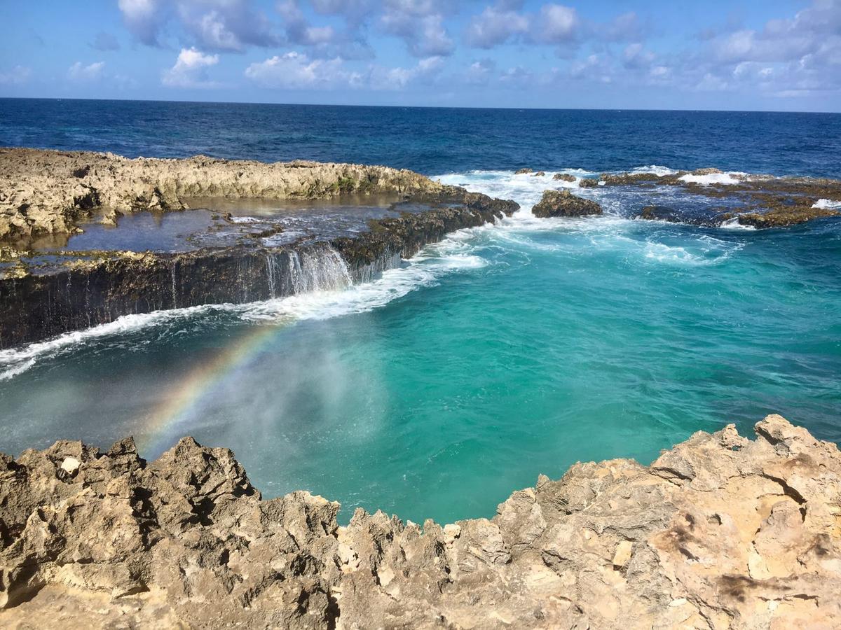 Aruba Harmony Apartments オラニエスタッド エクステリア 写真